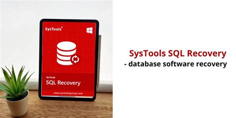 SysTools SQL Recovery 13.7